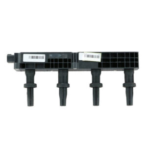 کوئل رانا کروز